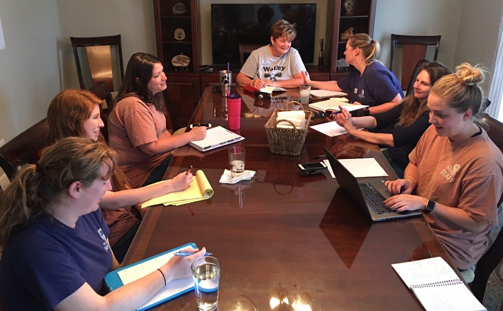 Busy bees working hard in the office!