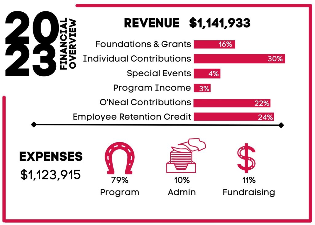 Financials Infographic 2023